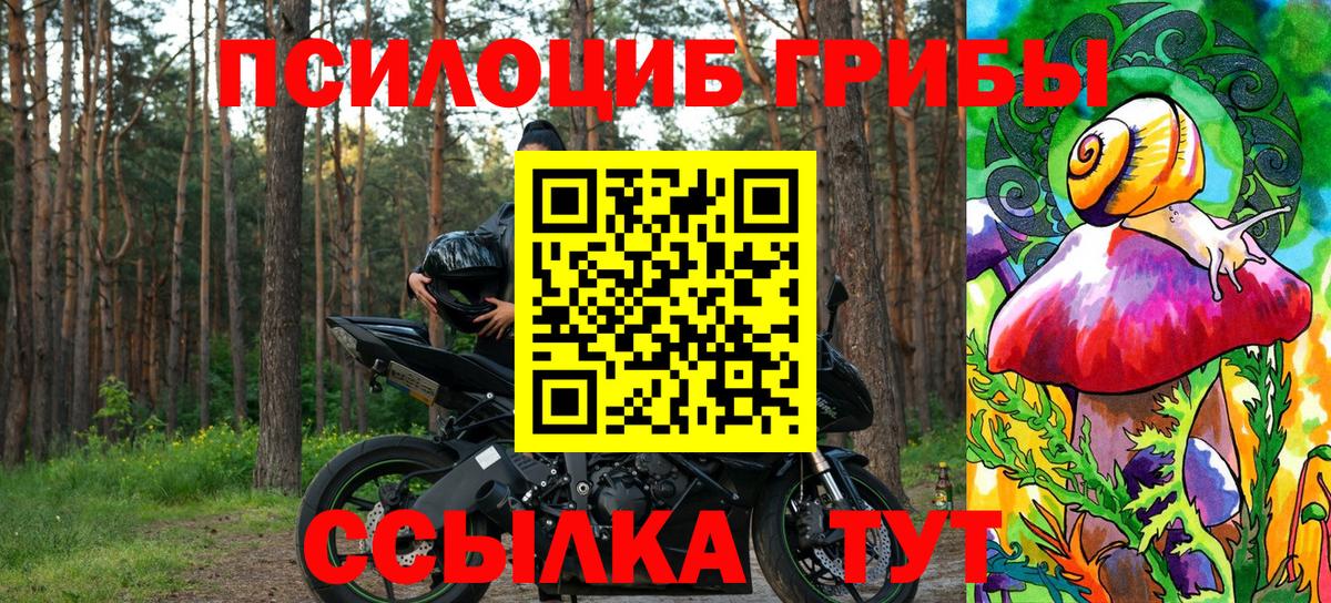 Галлюциногенные грибы Psilocybe Пыть-Ях